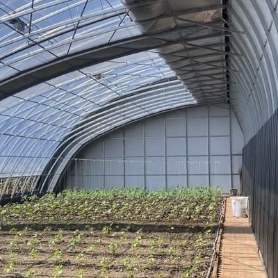 Plantation de fleurs Système d'irrigation goutte à goutte Serre solaire avec demande personnalisée