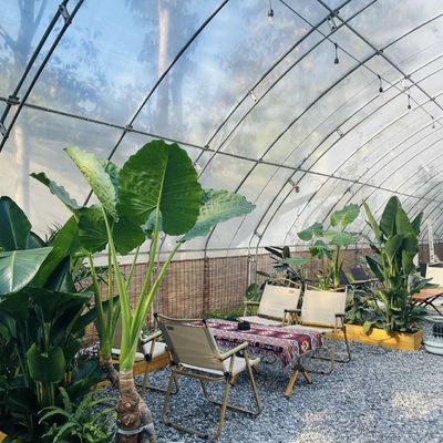 Plantation de fleurs Système d'irrigation goutte à goutte Serre solaire avec demande personnalisée