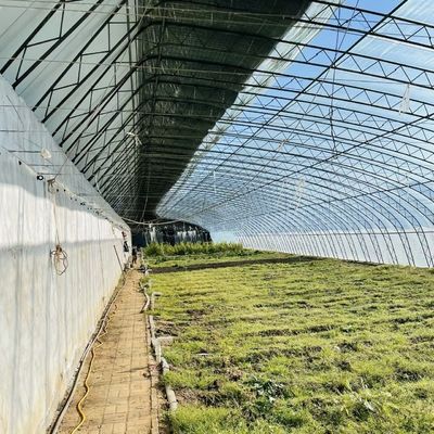 Serre à structure en acier pour la culture de légumes et de fleurs JX-A00227