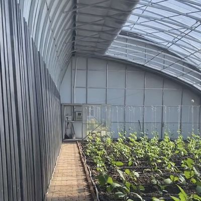 Élevage de semences d'irrigation Lumière solaire Serre US 20/m2 avec personnalisation