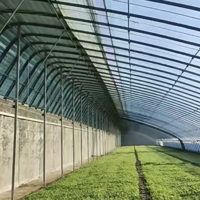 Système de culture hydroponique aquaponique à plusieurs étendues pour la monnaie américaine dans une serre à lumière du soleil