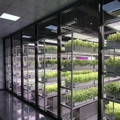 Serre à conteneurs pour la culture de légumes à feuilles Paiement initial et expédition abordable