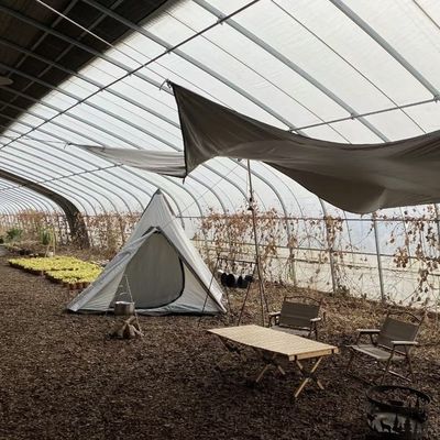 Système de culture hydroponique aquaponique à plusieurs étendues pour la monnaie américaine dans une serre à lumière du soleil