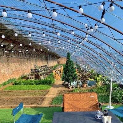Serre à lumière du soleil pour la plantation de fleurs d'origine
