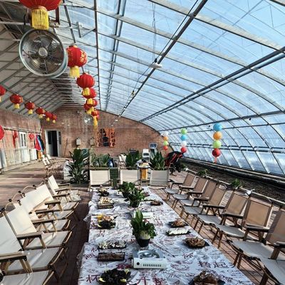Serre à lumière du soleil pour la plantation de fleurs d'origine