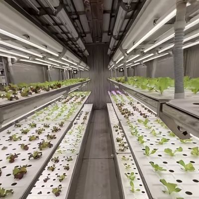 Matériau de revêtement en acier Conteneur de chargement Serre pour légumes personnalisée personnalisation