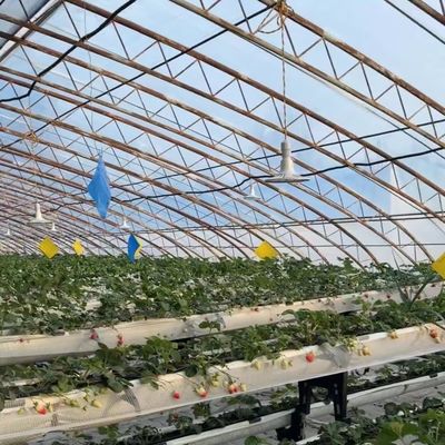 Coût d'expédition et délai de livraison estimé pour la serre à semis hydroponique commerciale