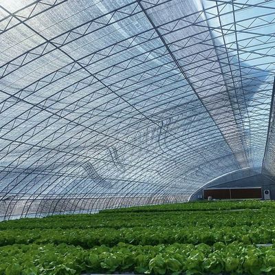 L'aquaculture facilité par la culture des semences L'éclairage solaire Serre Remboursement de 30 jours