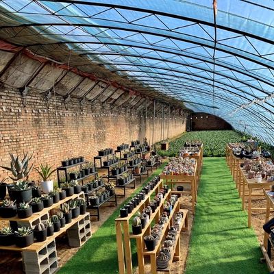 30 jours Retour des remboursements Origine Sparay Irrigation Serre pour la satisfaction du client