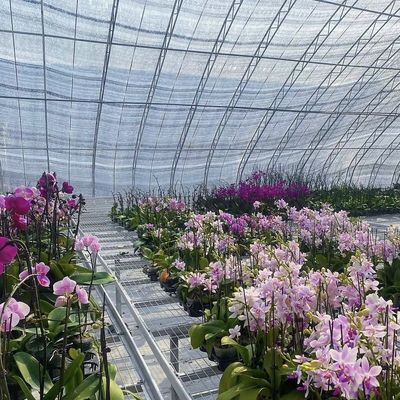 30 jours Retour des remboursements Origine Sparay Irrigation Serre pour la satisfaction du client