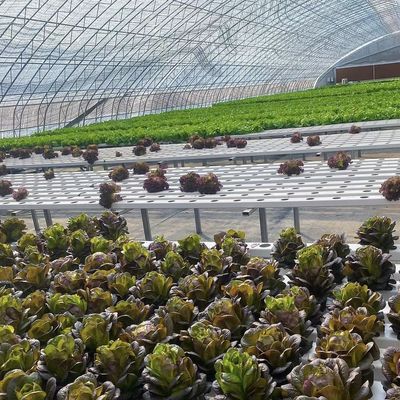 Paquet Poids brut 100.000 kg Lumière solaire Serre à goutte à goutte pour la plantation de fleurs