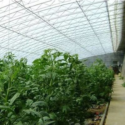 Système avancé de contrôle de l'humidité et de lumière solaire pour les légumes dans les serres commerciales