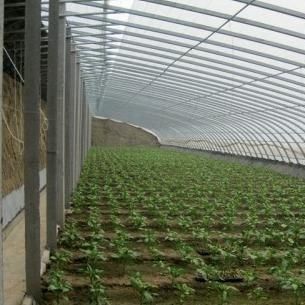 Système avancé de contrôle de l'humidité et de lumière solaire pour les légumes dans les serres commerciales