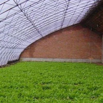 Système avancé de contrôle de l'humidité et de lumière solaire pour les légumes dans les serres commerciales