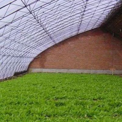 Serre à lumière solaire contrôlée par l'humidité pour la culture de gros concombres de tomates dans le sable
