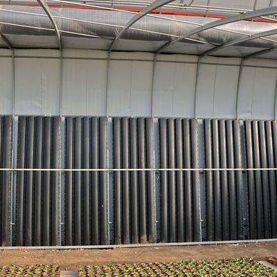 Système d'irrigation optimisé pour les concombres Serre solaire 1 M2 Min.Order