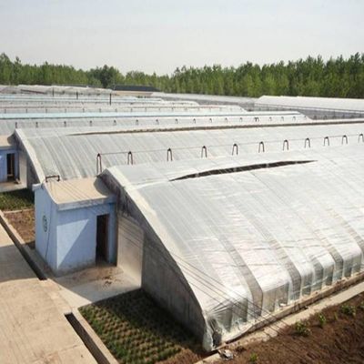 2000.000kg de poids brut de l'emballage Système de serre pour la culture de légumes à la lumière du soleil