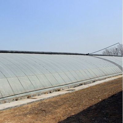 2000.000kg de poids brut de l'emballage Système de serre pour la culture de légumes à la lumière du soleil