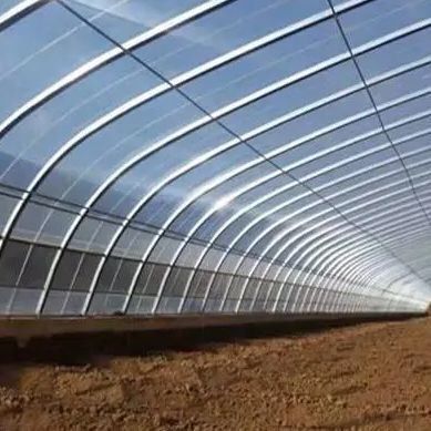 Juxiang prime est une serre pour les tomates.