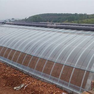 Juxiang prime est une serre pour les tomates.