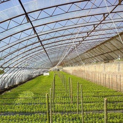 2000.000 kg de tomates et de concombres Solutio­ne de serre à lumière du soleil avec toit en arc