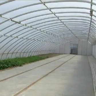 2000.000 kg de tomates et de concombres Solutio­ne de serre à lumière du soleil avec toit en arc