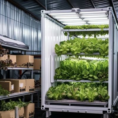 Serre à récipient pour les légumes à feuilles Serre à récipient intelligent