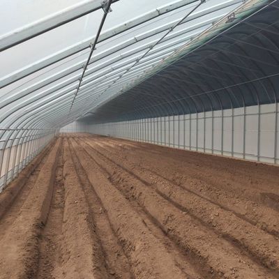 La culture à grande échelle de concombres facilité par une serre commerciale à contrôle d'humidité