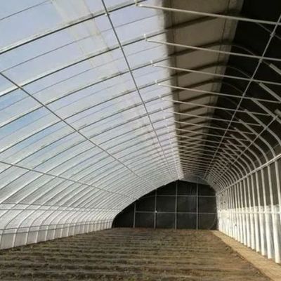 Élevage de tomates Serre solaire avec contrôle de l'humidité et de la température