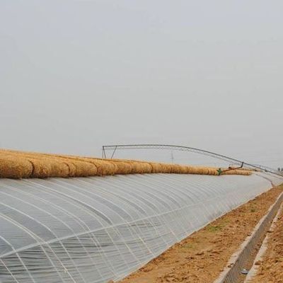 Cultiver des légumes avancés Serre à lumière du soleil 40HQ Récipient pour les récifs pour la qualité supérieure
