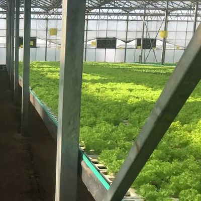 Élevage vertical Serre de conteneur de transport avec hydroponie et structure en acier