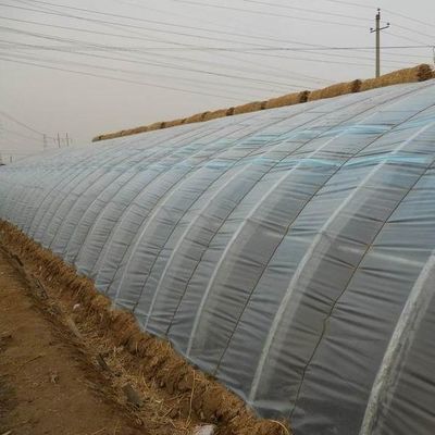 Mètre carré Cultivation commerciale de concombres Solution de serre à lumière solaire avec production