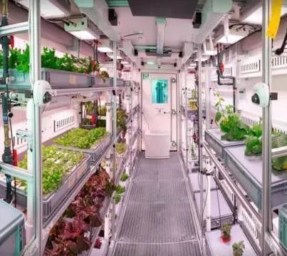 Structure en acier Système hydroponique Serre de conteneur pour solution d'agriculture verticale