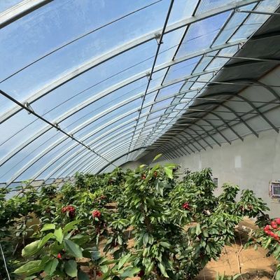 Système d'ombrage et de ventilation de la culture de tomates pour le transport de conteneurs 40HQ Reefer