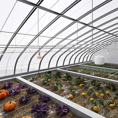 Système d'ombrage et de ventilation de la culture de tomates pour le transport de conteneurs 40HQ Reefer