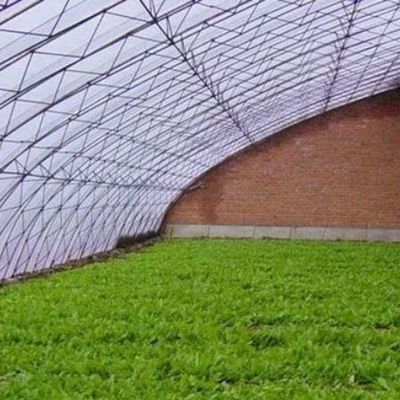 Système d'ombrage et de ventilation de la culture de tomates pour le transport de conteneurs 40HQ Reefer