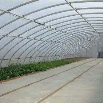 Système d'ombrage et de ventilation de la culture de tomates pour le transport de conteneurs 40HQ Reefer
