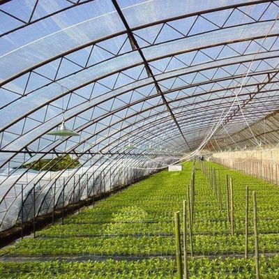 Système d'ombrage et de ventilation de la culture de tomates pour le transport de conteneurs 40HQ Reefer