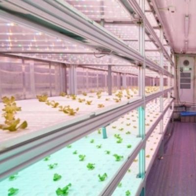 Serre de conteneur de transport pour l'agriculture verticale hydroponique dans l'industrie commerciale