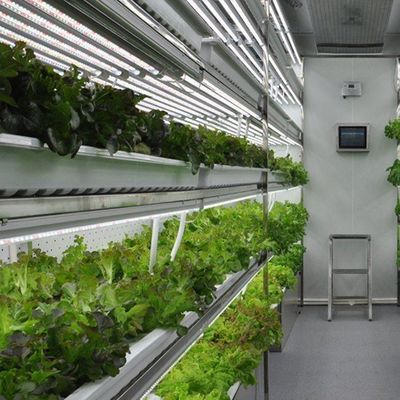 Récipient d'exploitation verticale hydroponique en serre