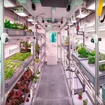Récipient d'exploitation verticale hydroponique en serre