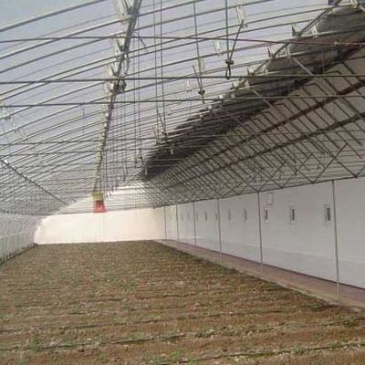 Système d'irrigation optimisé pour serre à lumière solaire de tomate avec une seule étendue JX-SG-127