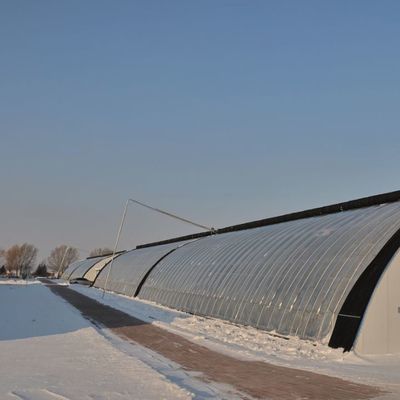 Système d'irrigation optimisé pour serre à lumière solaire de tomate avec une seule étendue JX-SG-127