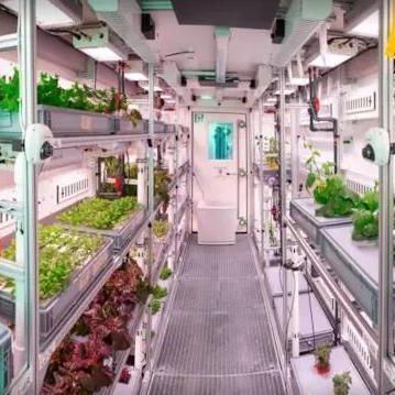 Serre à conteneur pour agriculture verticale commerciale avec système hydroponique
