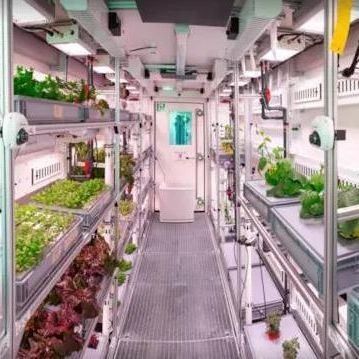 Système hydroponique pour les légumes Serre pour la culture verticale JX-CG-103
