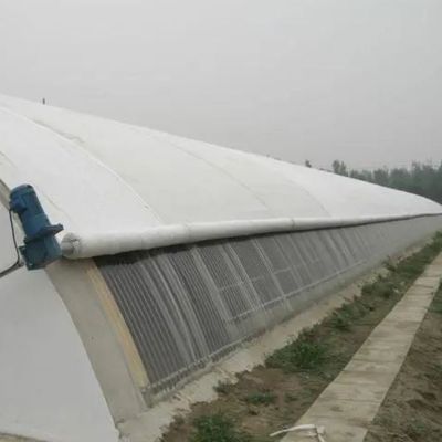 Serre à lumière solaire à structure en acier/parement à régulation de l'humidité pour la culture des légumes