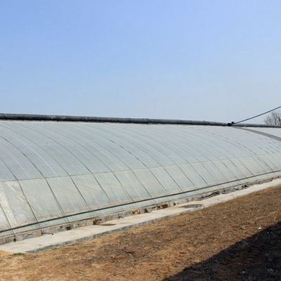 Serre à lumière solaire à structure en acier/parement à régulation de l'humidité pour la culture des légumes