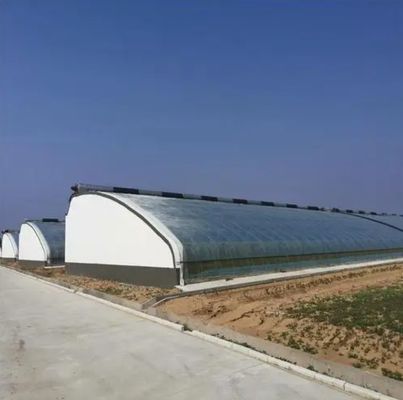 Juxiang Arrosage automatisé Serre solaire pour légumes Ventilation et ombrage