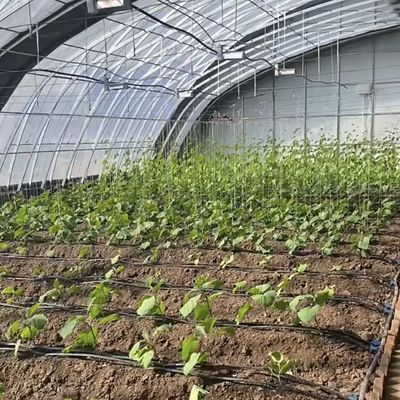 Juxiang Arrosage automatisé Serre solaire pour légumes Ventilation et ombrage