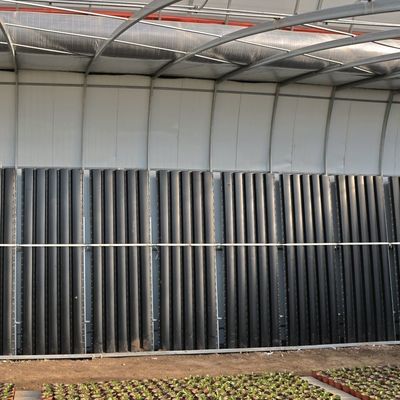Juxiang Arrosage automatisé Serre solaire pour légumes Ventilation et ombrage
